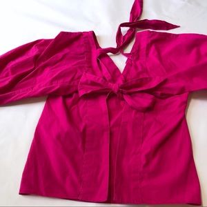 Long Sleeve Blouse, Zara Basic V-neck, Open Back